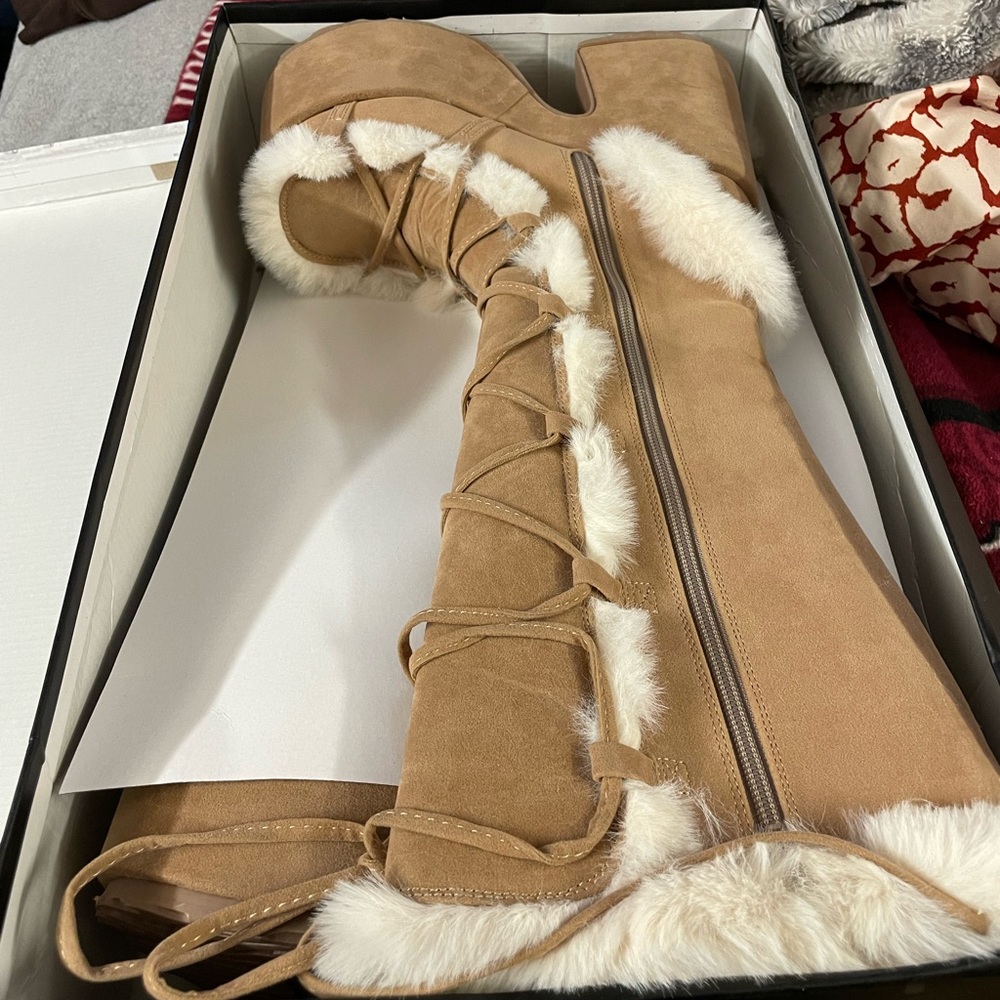 Demonia Camel 311